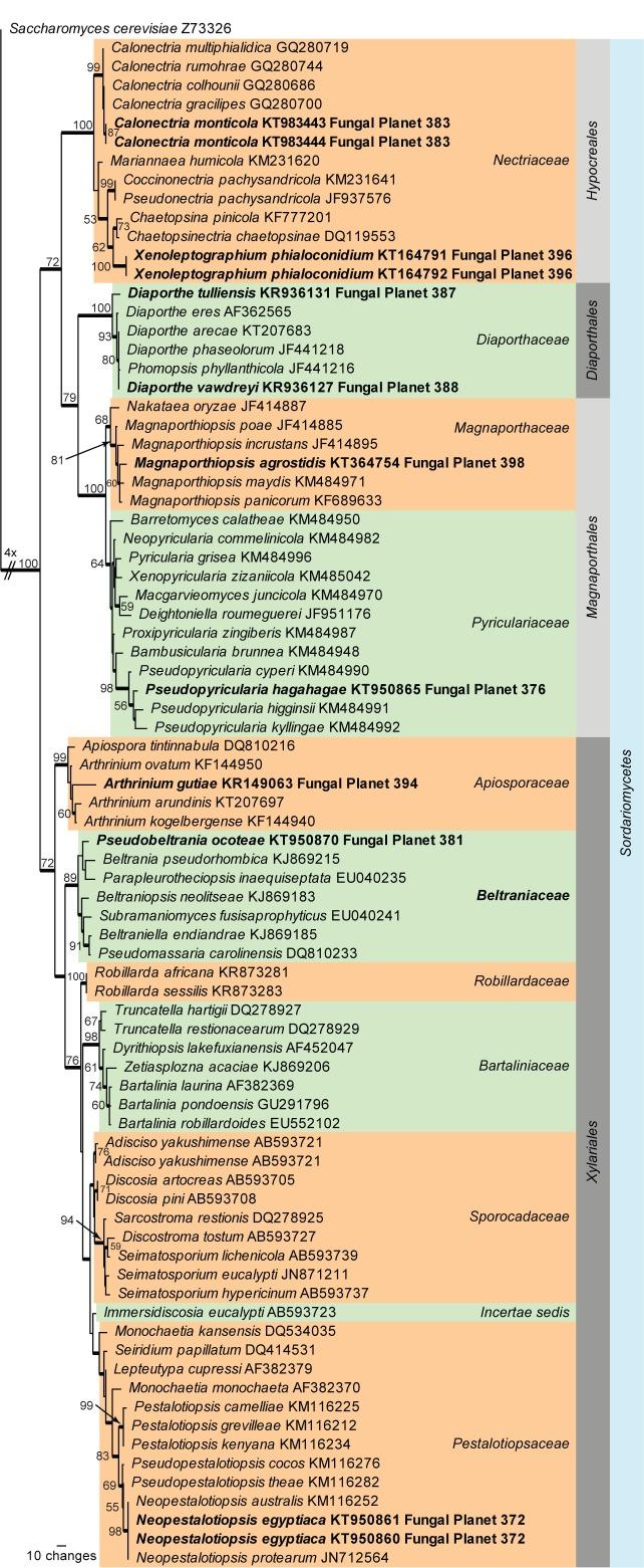 https://cdn.ncbi.nlm.nih.gov/pmc/blobs/5a5a/4713108/cc4ae00ccf8f/per-35-264-i002.jpg