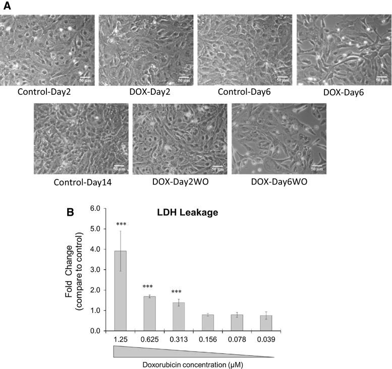 https://cdn.ncbi.nlm.nih.gov/pmc/blobs/5a5a/5104806/91c8b9708b65/204_2016_1668_Fig3_HTML.jpg