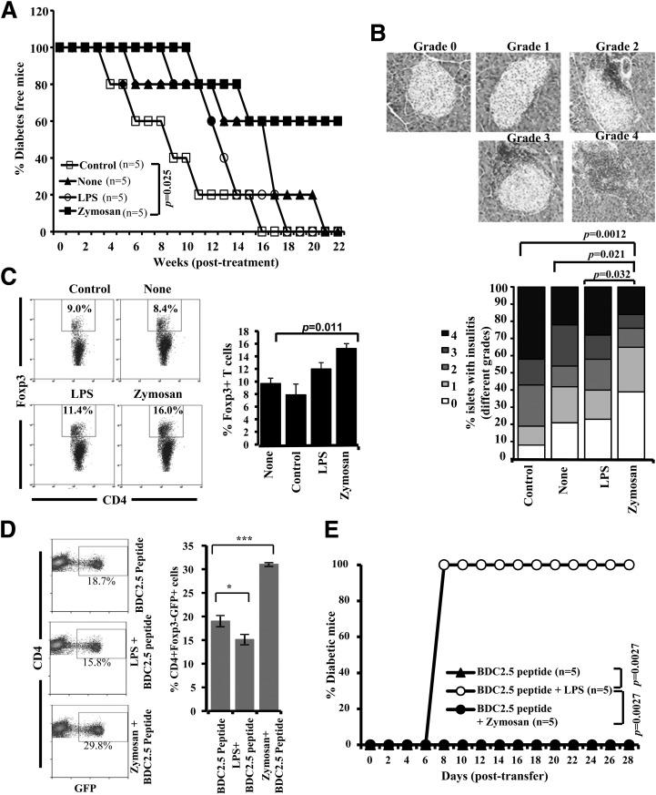 https://cdn.ncbi.nlm.nih.gov/pmc/blobs/5a5b/4375080/609d5cbde5e2/db141145f3.jpg