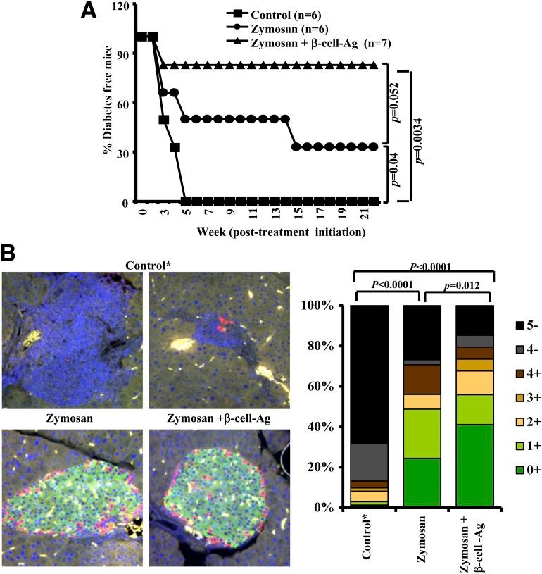 https://cdn.ncbi.nlm.nih.gov/pmc/blobs/5a5b/4375080/777b36a1d3d7/db141145f6.jpg