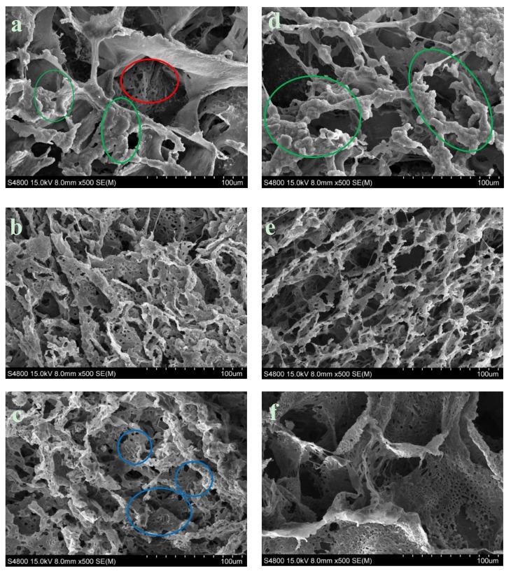 https://cdn.ncbi.nlm.nih.gov/pmc/blobs/5a5b/6926959/4e01f5360962/materials-12-03843-g006.jpg