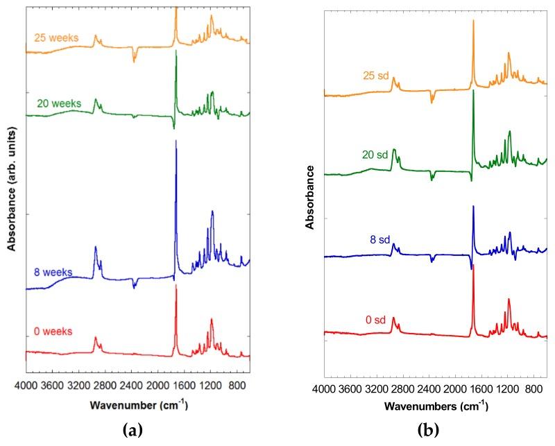 https://cdn.ncbi.nlm.nih.gov/pmc/blobs/5a5b/6926959/d872630f7b8b/materials-12-03843-g003.jpg