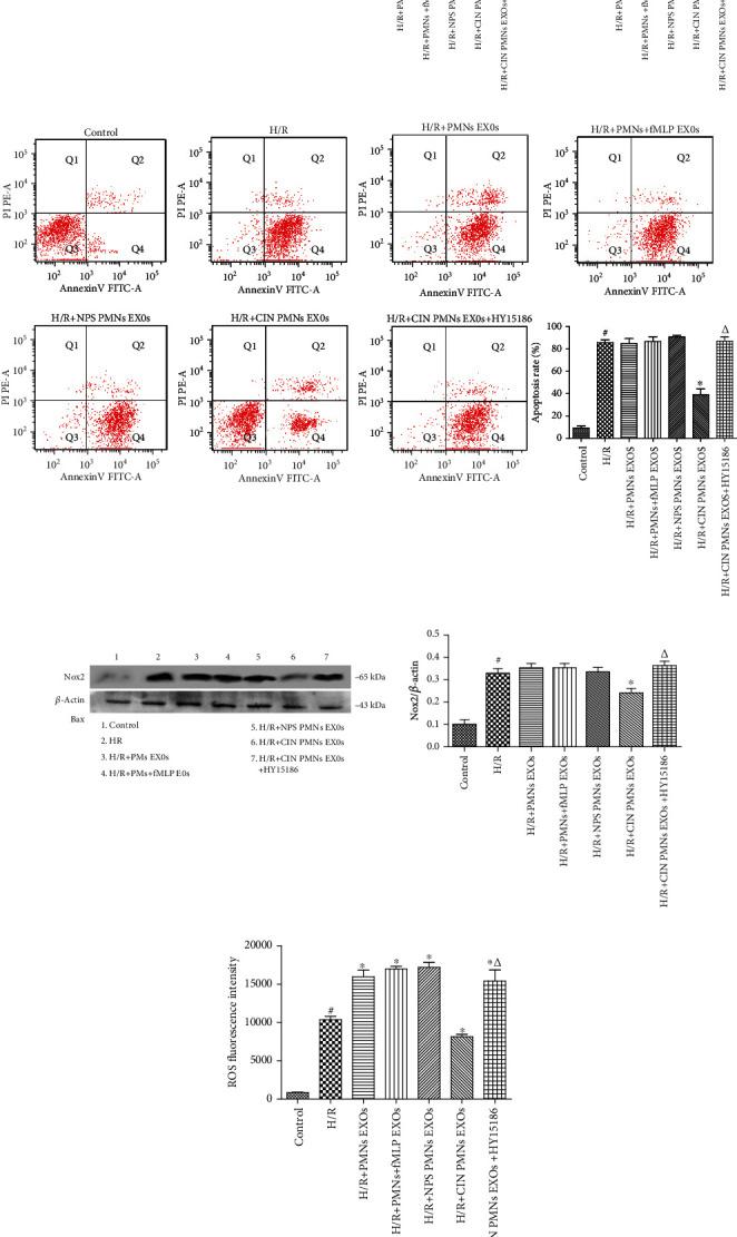 https://cdn.ncbi.nlm.nih.gov/pmc/blobs/5a5d/7815400/14ebab332a29/OMCL2021-3010548.005.jpg