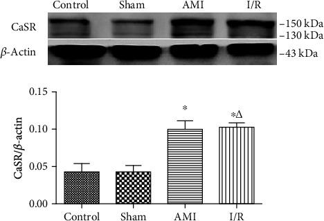 https://cdn.ncbi.nlm.nih.gov/pmc/blobs/5a5d/7815400/3b5cd3db8e71/OMCL2021-3010548.001.jpg
