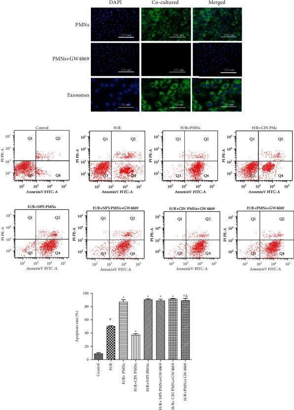 https://cdn.ncbi.nlm.nih.gov/pmc/blobs/5a5d/7815400/40512bff9671/OMCL2021-3010548.004.jpg