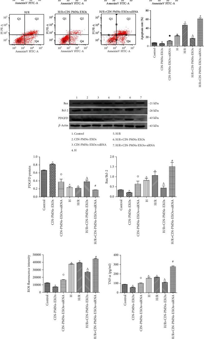 https://cdn.ncbi.nlm.nih.gov/pmc/blobs/5a5d/7815400/643f9d1bec23/OMCL2021-3010548.007.jpg