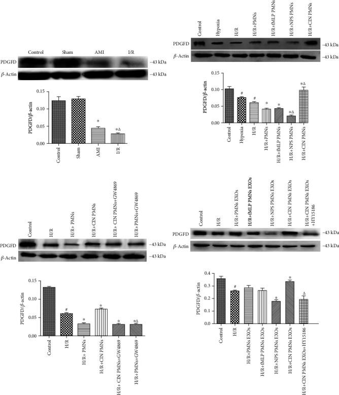 https://cdn.ncbi.nlm.nih.gov/pmc/blobs/5a5d/7815400/7266e291545f/OMCL2021-3010548.008.jpg