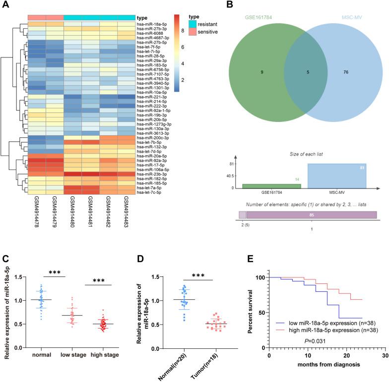 https://cdn.ncbi.nlm.nih.gov/pmc/blobs/5a5d/9172103/10a0736eb0e7/12967_2022_3422_Fig3_HTML.jpg