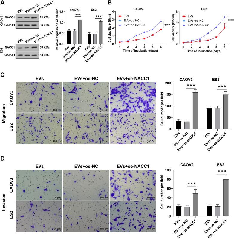 https://cdn.ncbi.nlm.nih.gov/pmc/blobs/5a5d/9172103/11ffc5d6f479/12967_2022_3422_Fig6_HTML.jpg