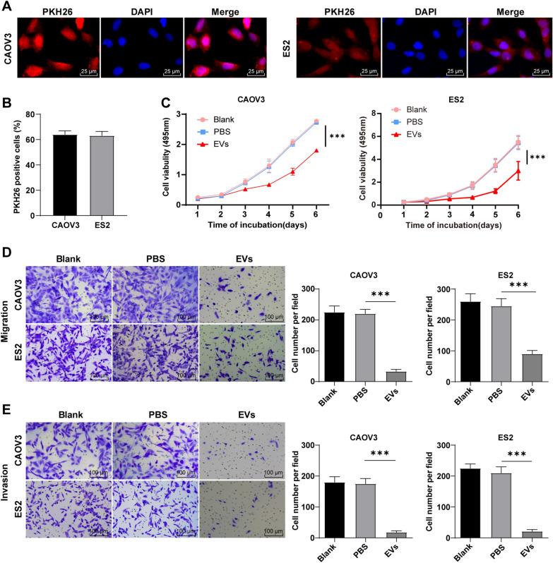 https://cdn.ncbi.nlm.nih.gov/pmc/blobs/5a5d/9172103/51b0807cdde1/12967_2022_3422_Fig2_HTML.jpg