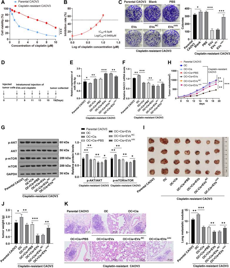 https://cdn.ncbi.nlm.nih.gov/pmc/blobs/5a5d/9172103/7535ef63b7a0/12967_2022_3422_Fig8_HTML.jpg