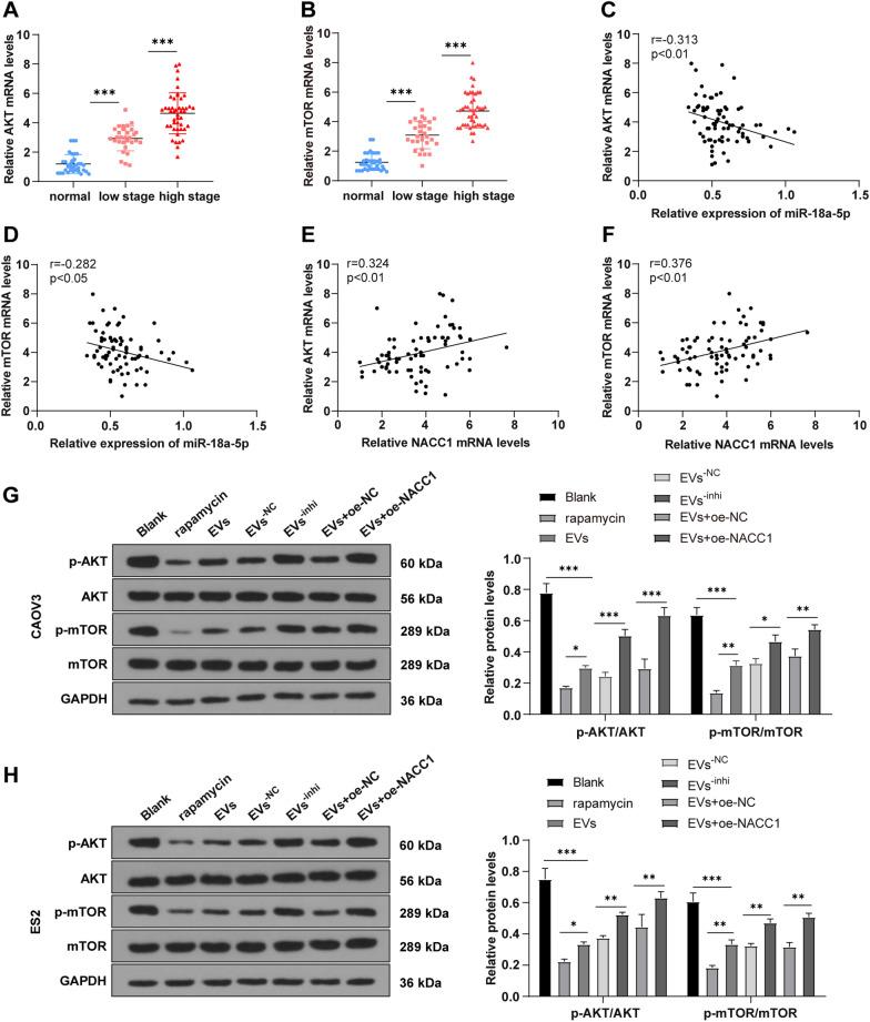 https://cdn.ncbi.nlm.nih.gov/pmc/blobs/5a5d/9172103/7a2395d0a128/12967_2022_3422_Fig7_HTML.jpg