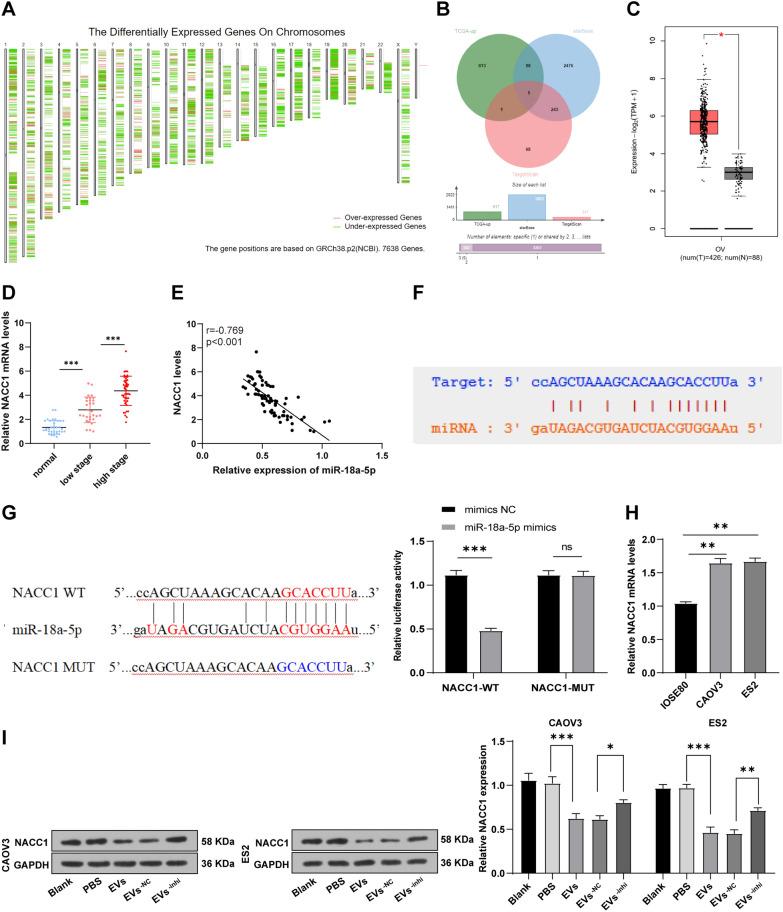 https://cdn.ncbi.nlm.nih.gov/pmc/blobs/5a5d/9172103/d971b452ace2/12967_2022_3422_Fig5_HTML.jpg