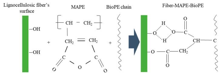 https://cdn.ncbi.nlm.nih.gov/pmc/blobs/5a5e/7249102/53bde21925dc/molecules-25-02242-g003.jpg
