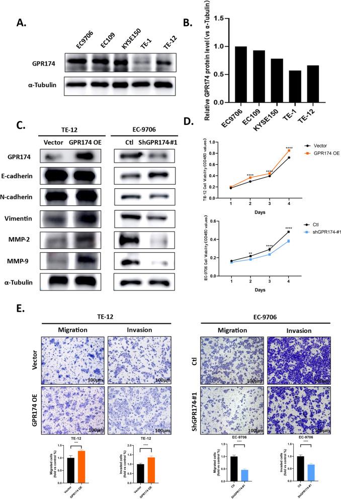 https://cdn.ncbi.nlm.nih.gov/pmc/blobs/5a60/11995483/634c30ce50ec/12967_2025_6419_Fig3_HTML.jpg
