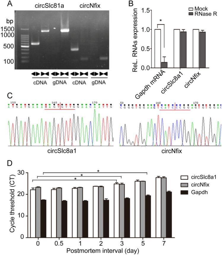 https://cdn.ncbi.nlm.nih.gov/pmc/blobs/5a62/7907149/eb868742abcc/41598_2021_84056_Fig3_HTML.jpg