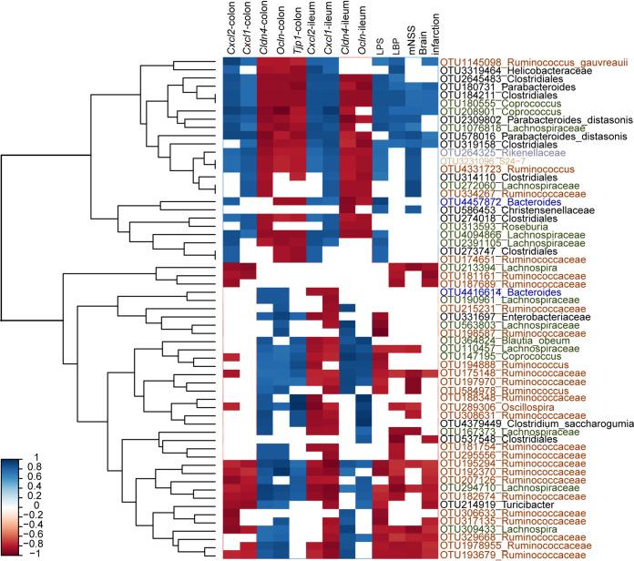 https://cdn.ncbi.nlm.nih.gov/pmc/blobs/5a65/8693450/cdf2d687ce50/msystems.01304-21-f005.jpg