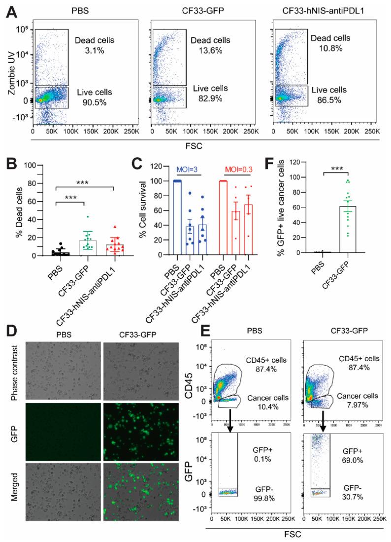 https://cdn.ncbi.nlm.nih.gov/pmc/blobs/5a66/10532045/62f6e91992fa/ijms-24-14189-g003.jpg
