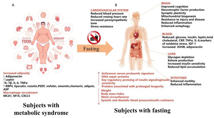 https://cdn.ncbi.nlm.nih.gov/pmc/blobs/5a66/11591922/3737c6583e3e/biomolecules-14-01437-g002.jpg