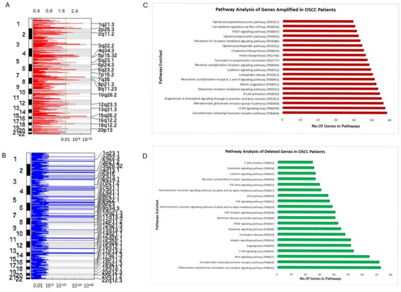 https://cdn.ncbi.nlm.nih.gov/pmc/blobs/5a67/12190202/17ab0a2ce4e9/cancers-17-01901-g004.jpg