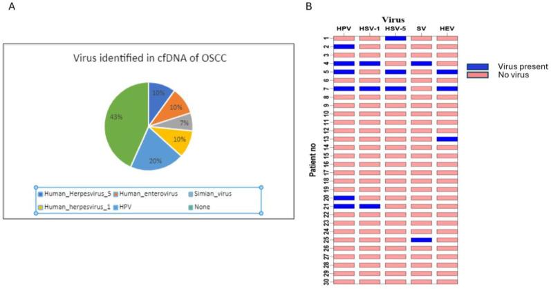 https://cdn.ncbi.nlm.nih.gov/pmc/blobs/5a67/12190202/4e91460637f2/cancers-17-01901-g002.jpg