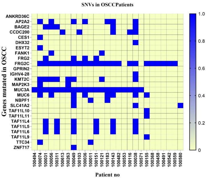 https://cdn.ncbi.nlm.nih.gov/pmc/blobs/5a67/12190202/c20b6827f972/cancers-17-01901-g005.jpg