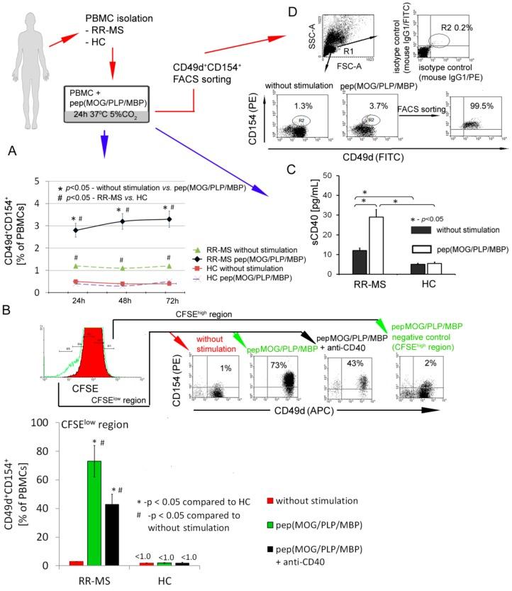 https://cdn.ncbi.nlm.nih.gov/pmc/blobs/5a68/7017443/33ed0296f9c2/cells-09-00015-g001.jpg