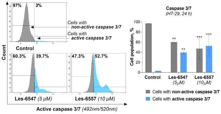 https://cdn.ncbi.nlm.nih.gov/pmc/blobs/5a69/11941218/87e815c25442/cells-14-00465-g012.jpg