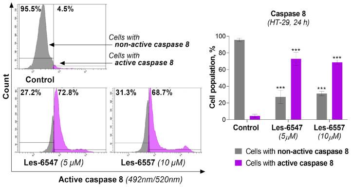 https://cdn.ncbi.nlm.nih.gov/pmc/blobs/5a69/11941218/c9de122987d8/cells-14-00465-g008.jpg