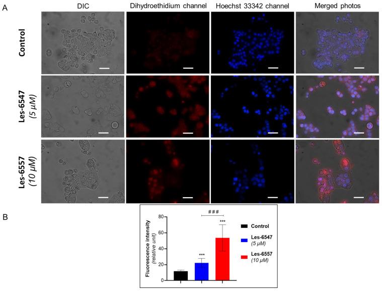 https://cdn.ncbi.nlm.nih.gov/pmc/blobs/5a69/11941218/d4bdb9224fd8/cells-14-00465-g014.jpg