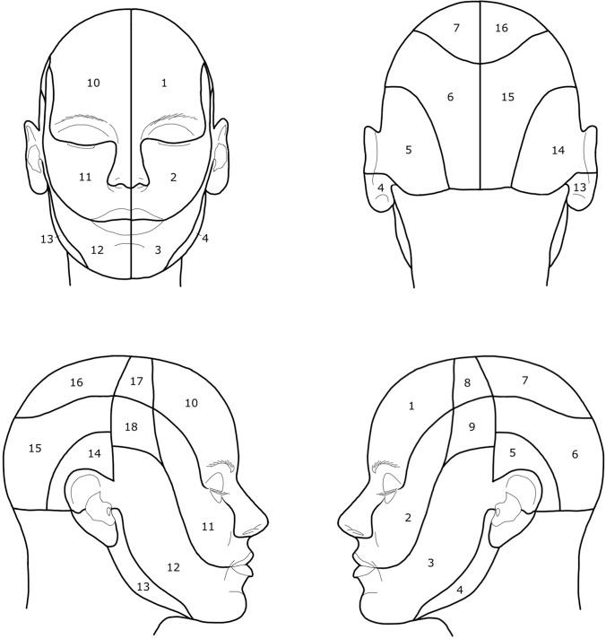 https://cdn.ncbi.nlm.nih.gov/pmc/blobs/5a6a/10390432/98308820dba7/12663_2022_1838_Fig1_HTML.jpg