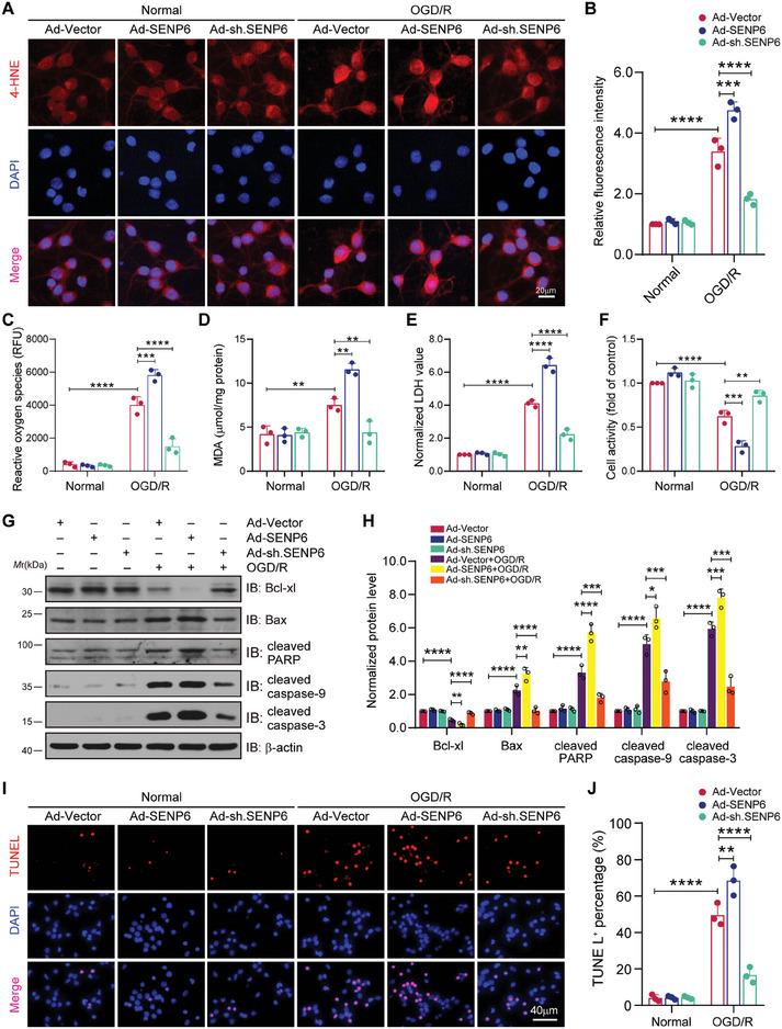 https://cdn.ncbi.nlm.nih.gov/pmc/blobs/5a6c/11831438/d4403b19343c/ADVS-12-2410410-g001.jpg