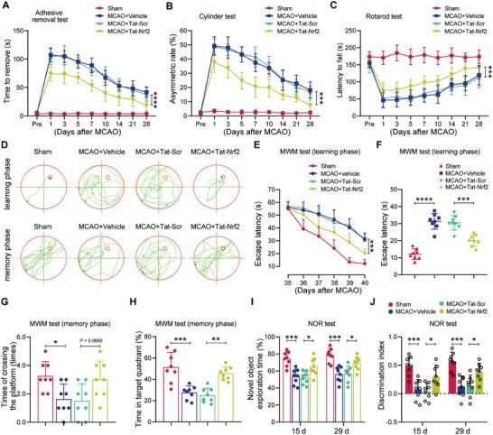 https://cdn.ncbi.nlm.nih.gov/pmc/blobs/5a6c/11831438/ddb8b1afc105/ADVS-12-2410410-g006.jpg