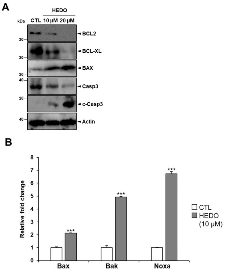 https://cdn.ncbi.nlm.nih.gov/pmc/blobs/5a6c/7072307/5c89ab33d613/biomolecules-10-00324-g006.jpg