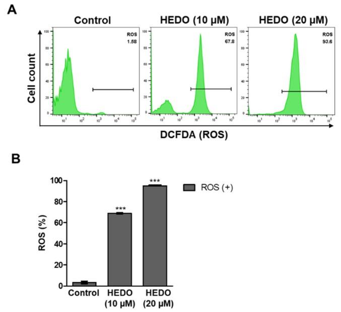 https://cdn.ncbi.nlm.nih.gov/pmc/blobs/5a6c/7072307/f29e02fef271/biomolecules-10-00324-g004.jpg
