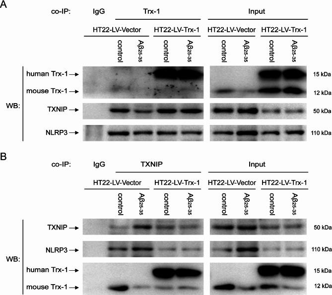 https://cdn.ncbi.nlm.nih.gov/pmc/blobs/5a6f/12075761/2479aef543f7/41598_2025_1636_Fig8_HTML.jpg