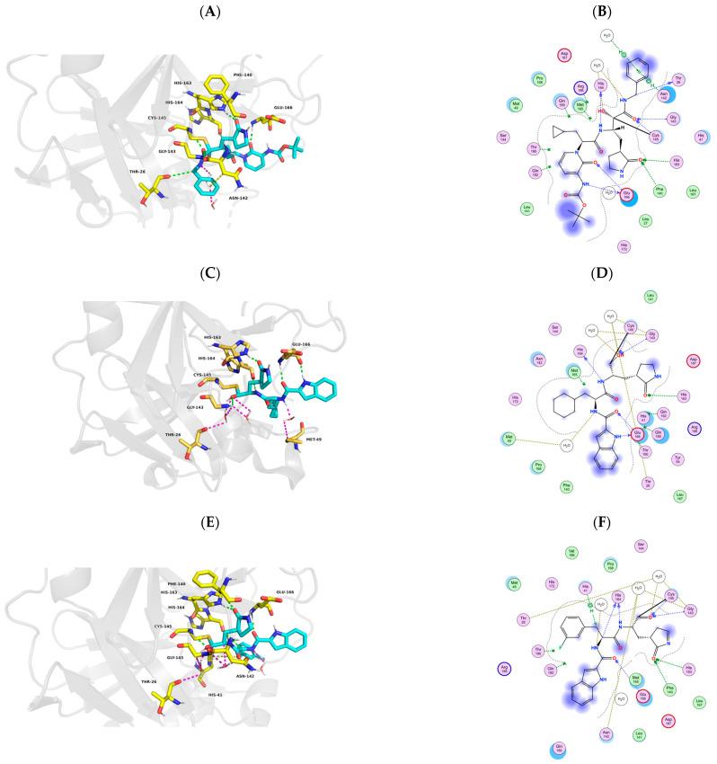 https://cdn.ncbi.nlm.nih.gov/pmc/blobs/5a71/11767629/d19b44dff70c/molecules-30-00351-g007a.jpg
