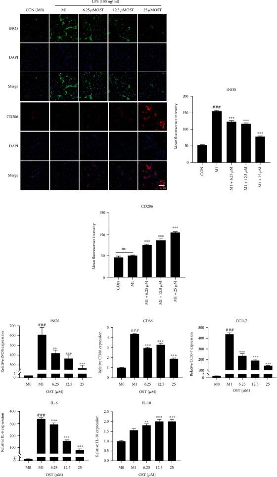 https://cdn.ncbi.nlm.nih.gov/pmc/blobs/5a72/9851800/270cd6f70cf7/OMCL2023-2975193.004.jpg