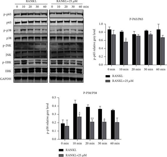 https://cdn.ncbi.nlm.nih.gov/pmc/blobs/5a72/9851800/a1029211df62/OMCL2023-2975193.006.jpg