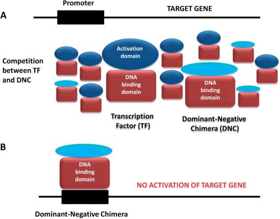 https://cdn.ncbi.nlm.nih.gov/pmc/blobs/5a73/3371848/15fc80577ec7/bts216f2.jpg