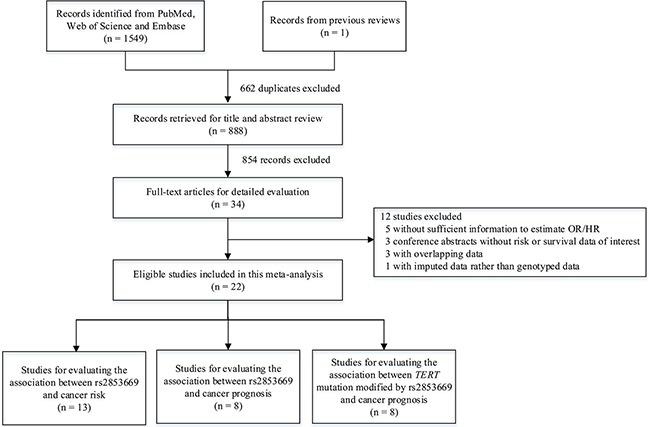 https://cdn.ncbi.nlm.nih.gov/pmc/blobs/5a75/5584211/9ef7b94de7b5/oncotarget-08-50864-g001.jpg