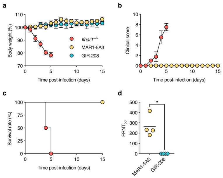 https://cdn.ncbi.nlm.nih.gov/pmc/blobs/5a76/10142689/4ef06b0e2cec/viruses-15-00814-g001.jpg