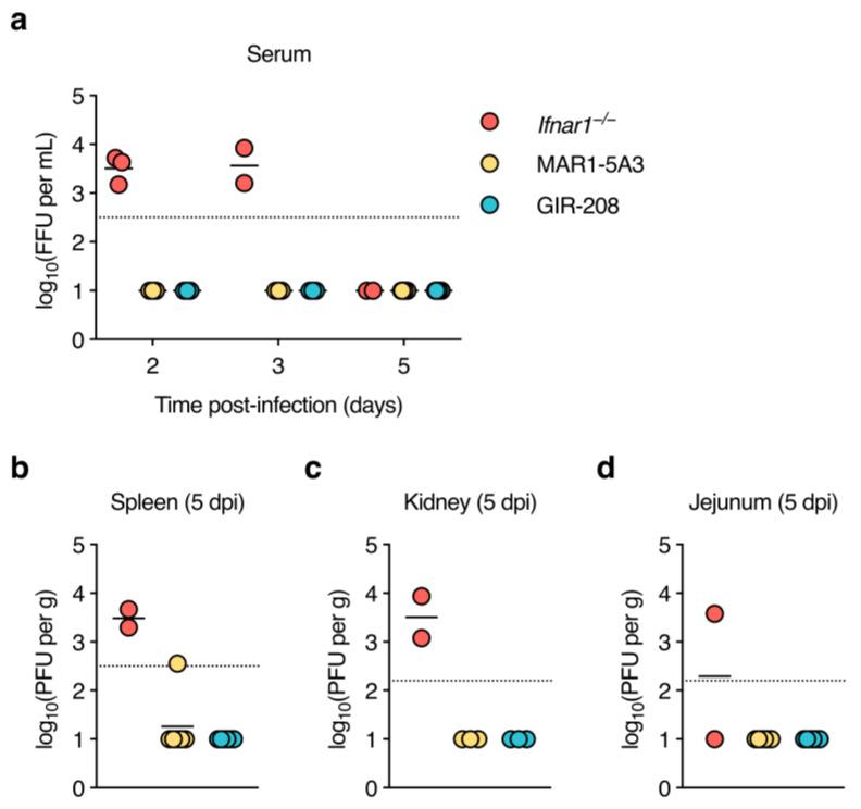https://cdn.ncbi.nlm.nih.gov/pmc/blobs/5a76/10142689/5394bcc6aa71/viruses-15-00814-g002.jpg