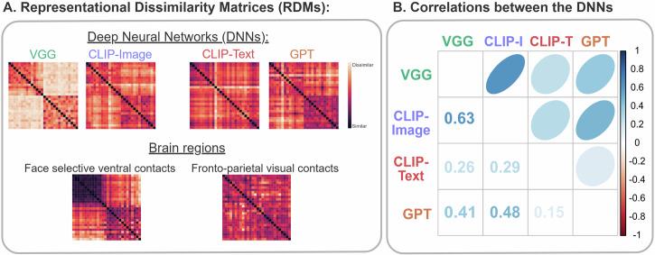 https://cdn.ncbi.nlm.nih.gov/pmc/blobs/5a76/12310966/0d7043959ff9/42003_2025_8497_Fig2_HTML.jpg