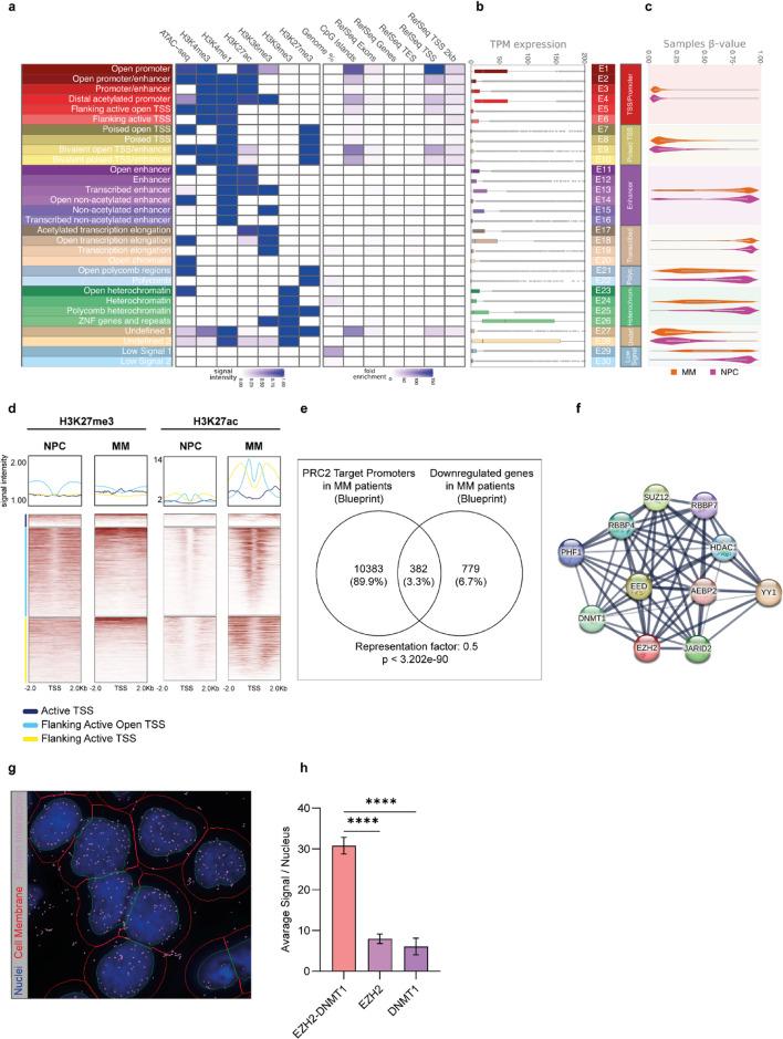 https://cdn.ncbi.nlm.nih.gov/pmc/blobs/5a76/12391466/0f608e52d8e0/41598_2025_17093_Fig2_HTML.jpg
