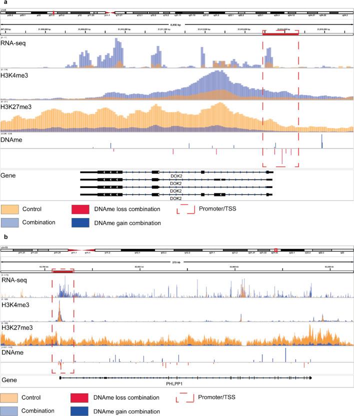 https://cdn.ncbi.nlm.nih.gov/pmc/blobs/5a76/12391466/6029f061c17e/41598_2025_17093_Fig6_HTML.jpg