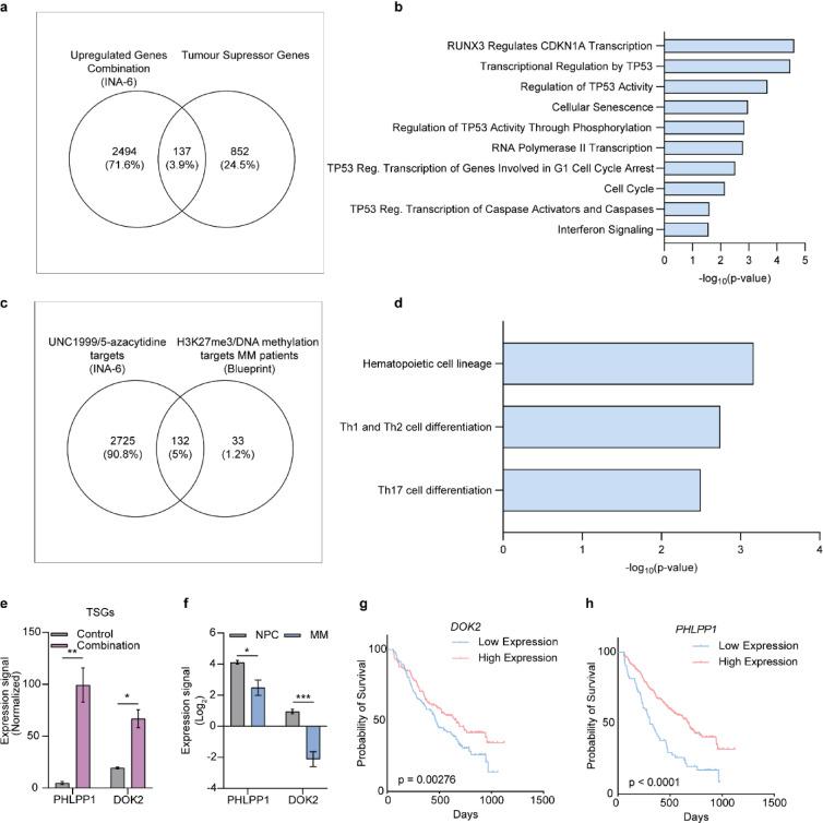 https://cdn.ncbi.nlm.nih.gov/pmc/blobs/5a76/12391466/b98fac26930a/41598_2025_17093_Fig5_HTML.jpg