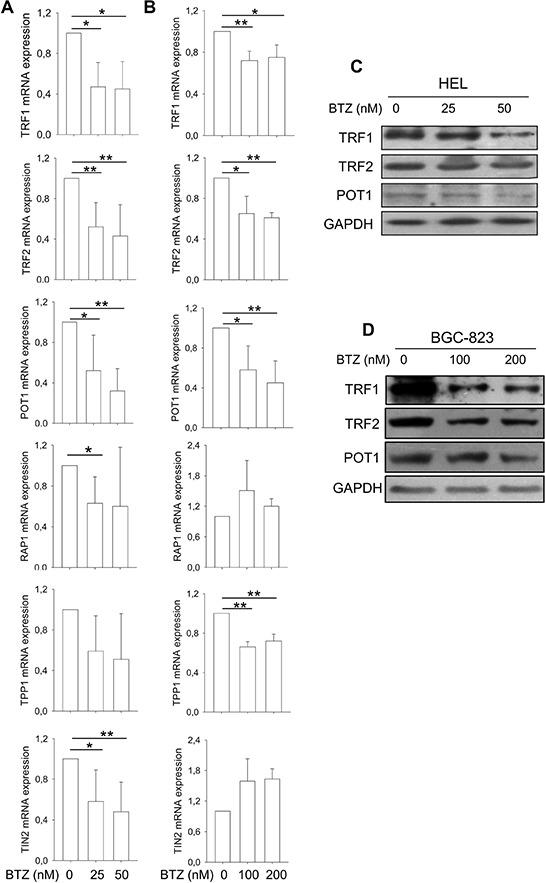 https://cdn.ncbi.nlm.nih.gov/pmc/blobs/5a76/4741985/3dde4c203a86/oncotarget-06-38079-g002.jpg
