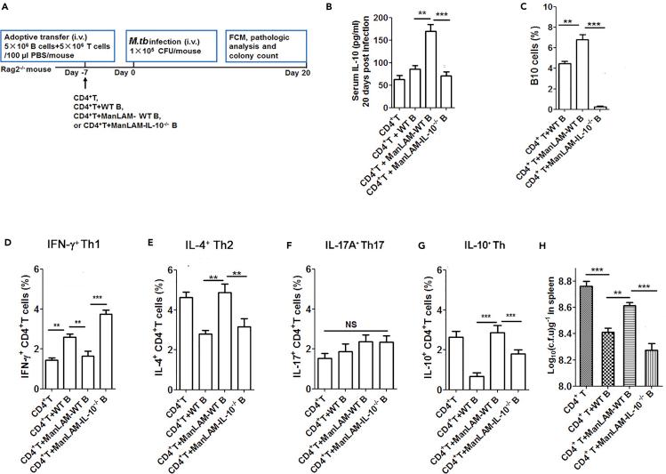 https://cdn.ncbi.nlm.nih.gov/pmc/blobs/5a78/6299163/3c479b04bb95/gr8.jpg
