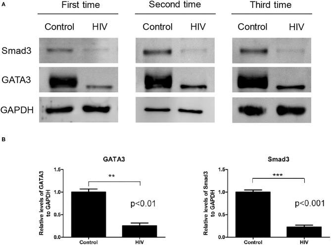 https://cdn.ncbi.nlm.nih.gov/pmc/blobs/5a7a/7511662/a52b7bccb1a4/fimmu-11-02131-g0003.jpg